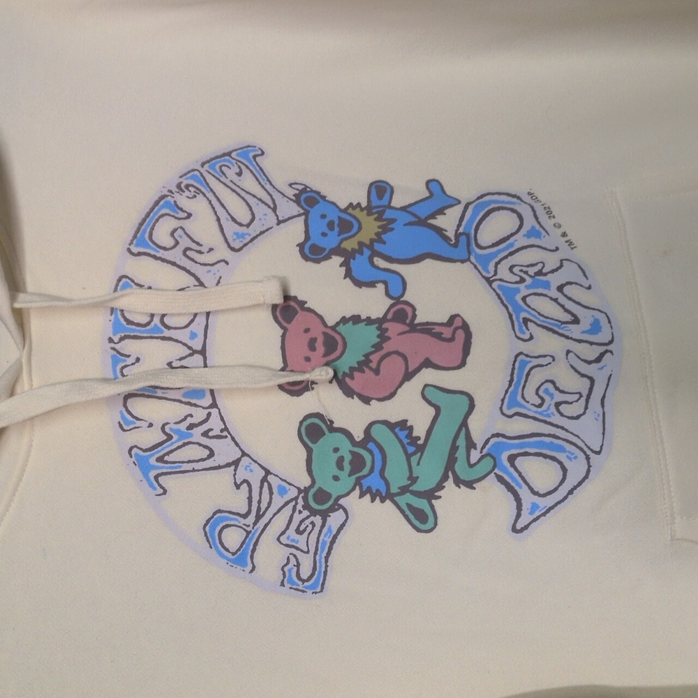 Grateful Dead™ Gender-Neutral Pullover Hoodie Size XL - Picture 2 of 5